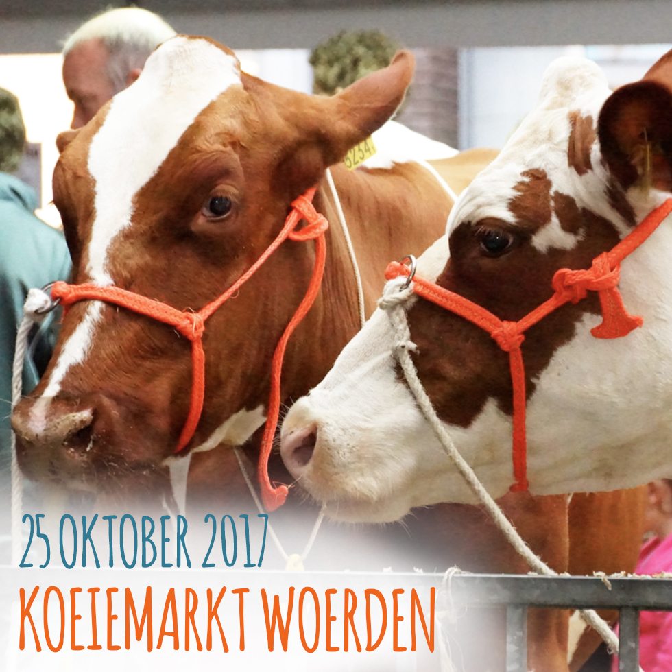 Koeiemart 2017 | 25 oktober