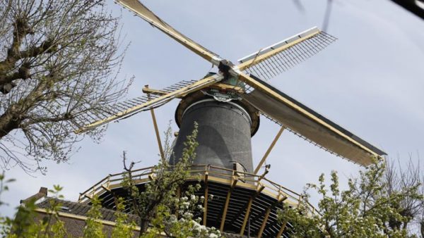 Korenmolen ‘De Windhond’ Woerden