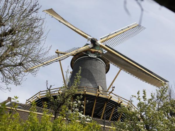 Korenmolen ‘De Windhond’ Woerden