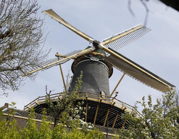 Korenmolen ‘De Windhond’ Woerden