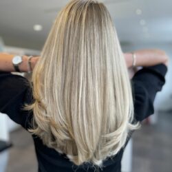 Highlights