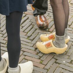 Harald - graskaasdag woerden