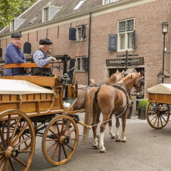 Harald - graskaasdag woerden