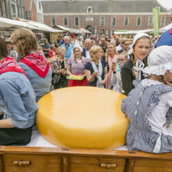 Nationale Graskaasdag in Woerden