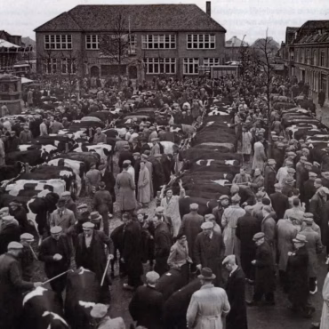 woensdag 23 oktober - Koeiemart