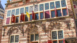 Flits rondleidingen | za 14 & zo 15 sept