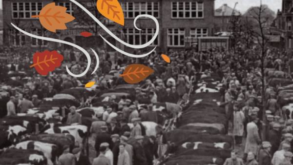 woensdag 22 oktober - Koeiemart